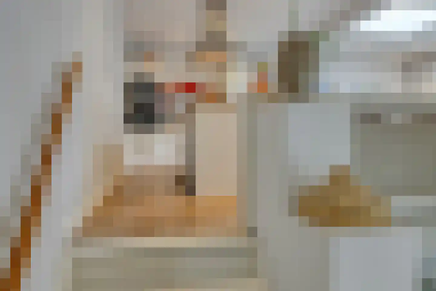 van Noremborghstraat 49 A 's-Hertogenbosch thumbnail 5