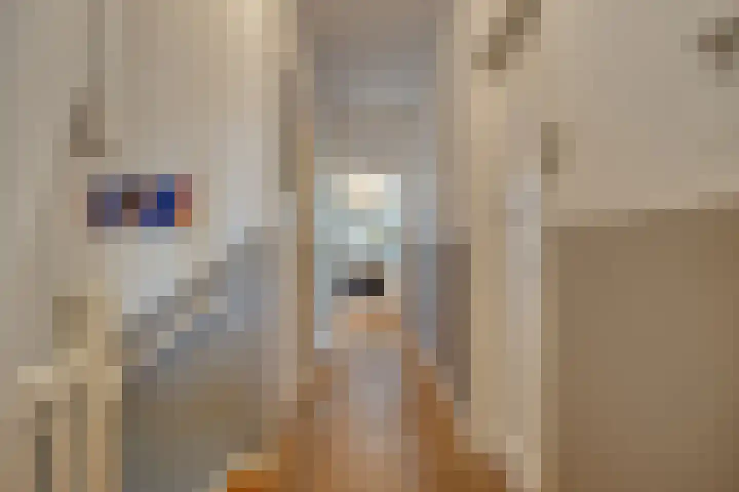 van Noremborghstraat 57 's-Hertogenbosch thumbnail 5