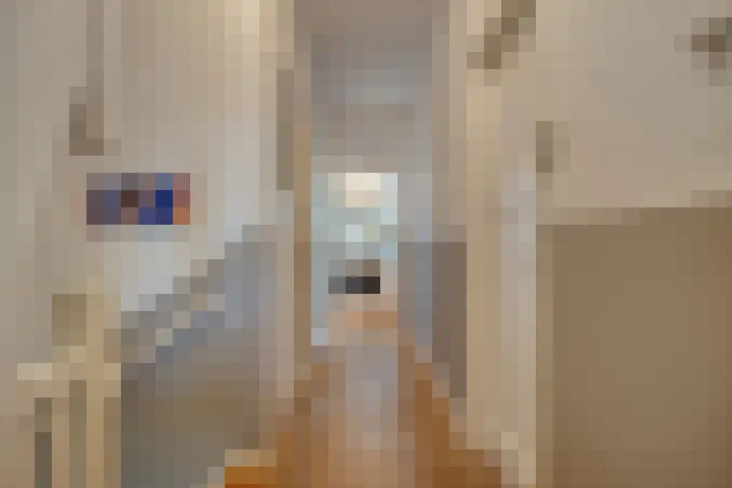 van Noremborghstraat 57 's-Hertogenbosch thumbnail 5