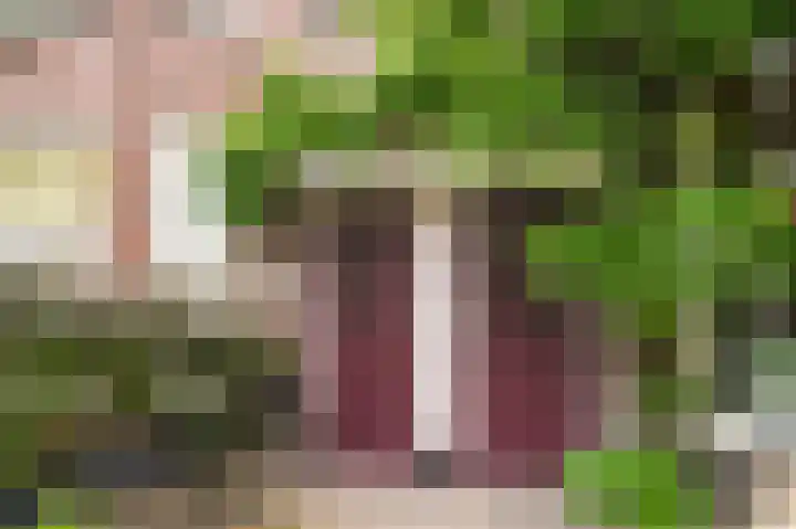 van Noremborghstraat 62 's-Hertogenbosch thumbnail 37