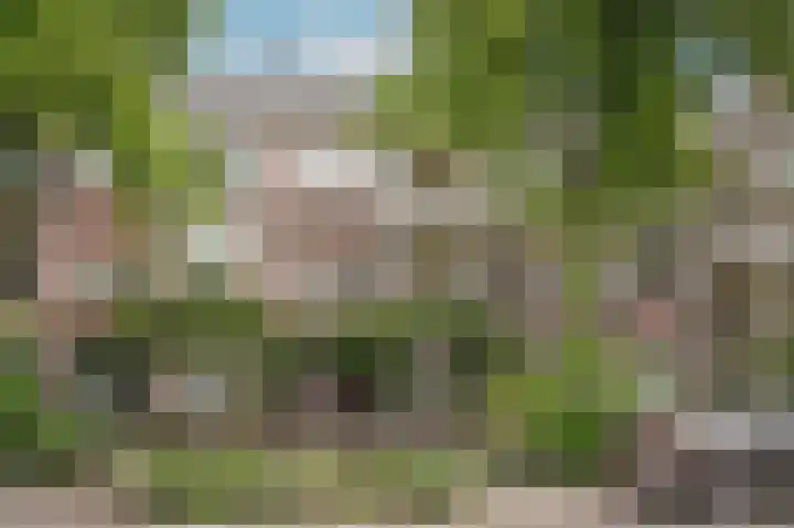van Noremborghstraat 62 's-Hertogenbosch thumbnail 38