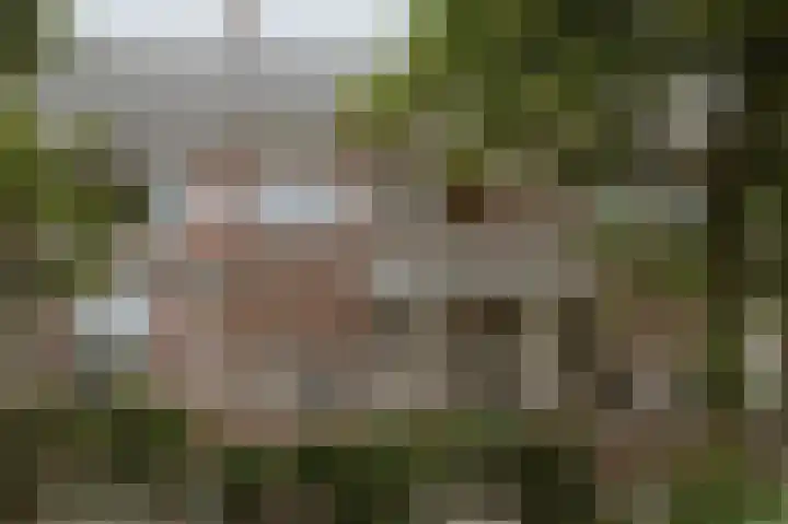 van Noremborghstraat 62 's-Hertogenbosch thumbnail 39