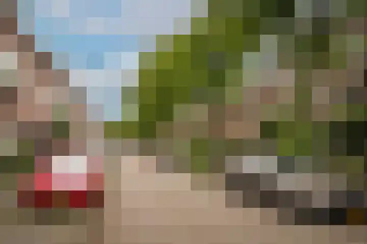 van Noremborghstraat 62 's-Hertogenbosch thumbnail 41