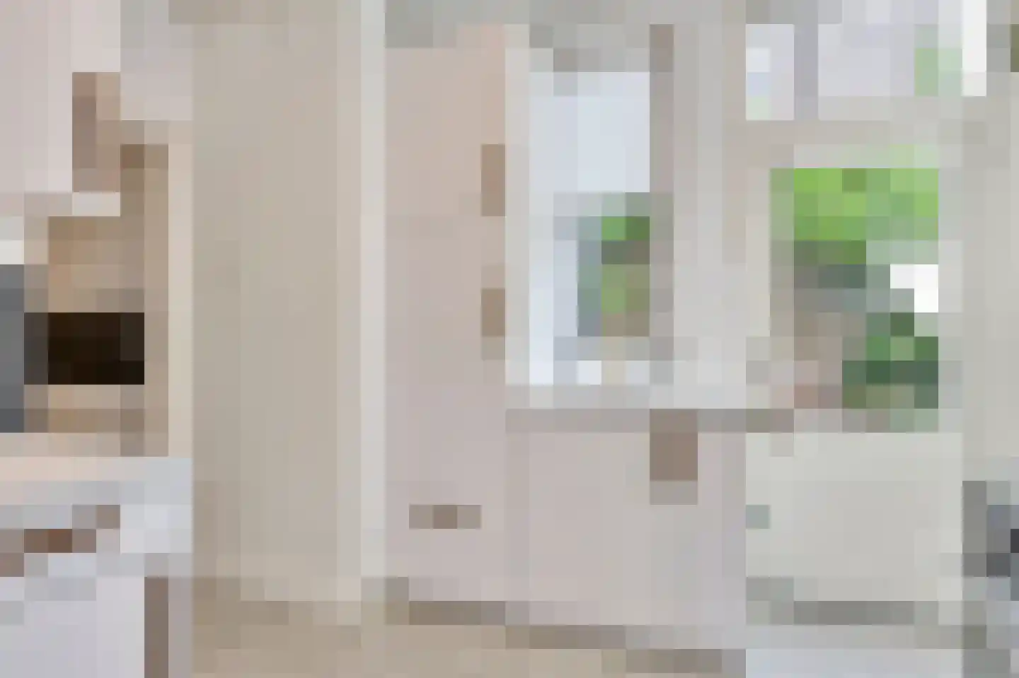 van Noremborghstraat 69 's-Hertogenbosch thumbnail 12