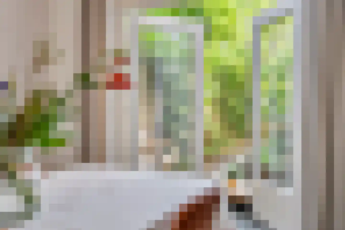 van Noremborghstraat 69 's-Hertogenbosch thumbnail 13