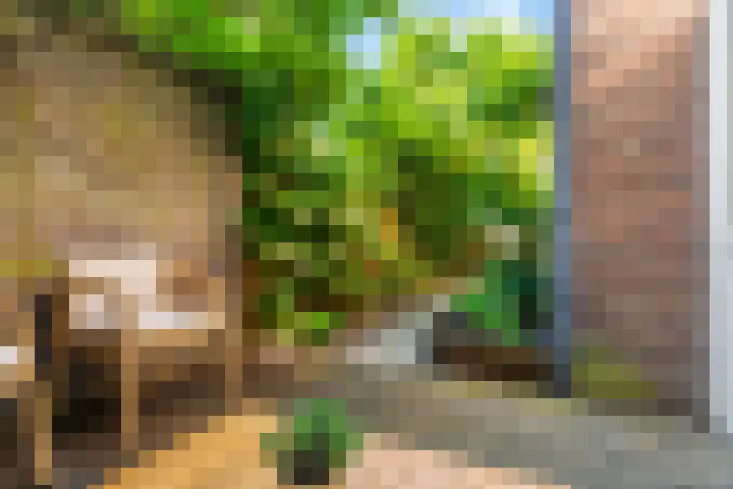 van Noremborghstraat 69 's-Hertogenbosch thumbnail 14
