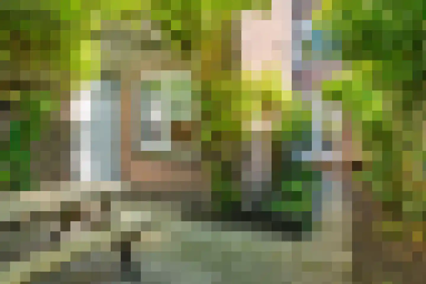 van Noremborghstraat 69 's-Hertogenbosch thumbnail 19