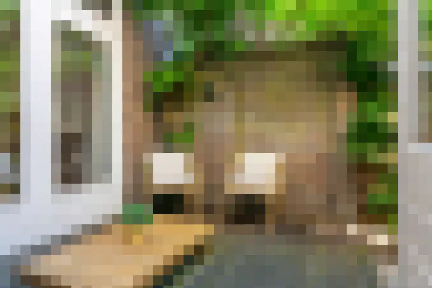 van Noremborghstraat 69 's-Hertogenbosch thumbnail 21
