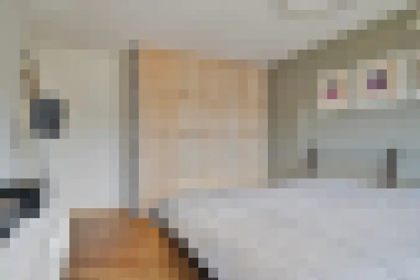 van Norenburchstraat 1 Eindhoven thumbnail 17