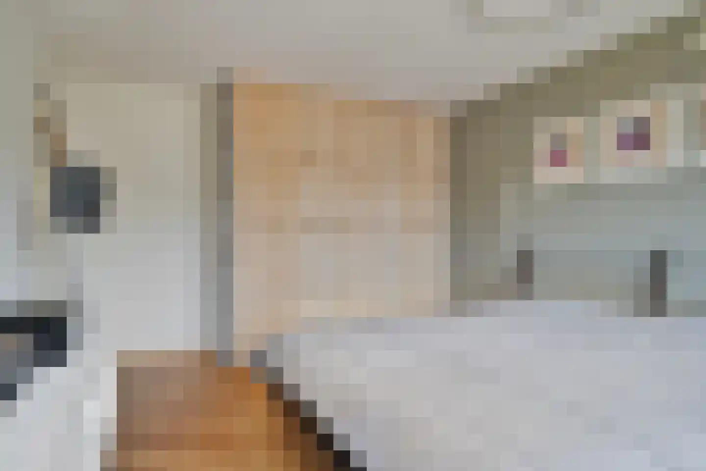 van Norenburchstraat 1 Eindhoven thumbnail 17
