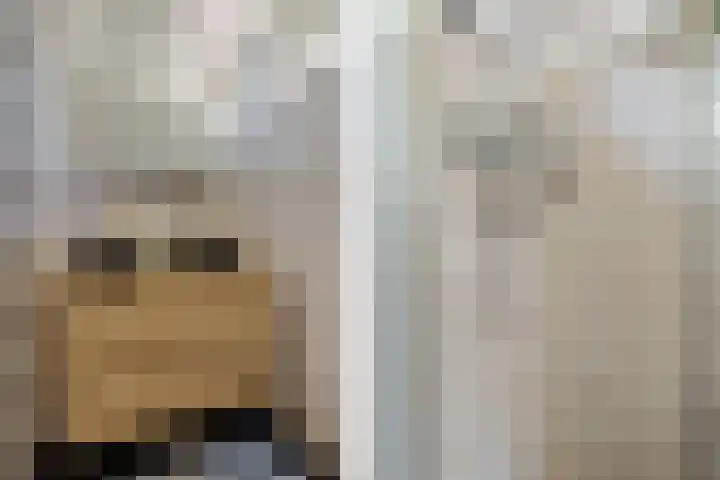 van Norenburchstraat 13 Eindhoven thumbnail 23