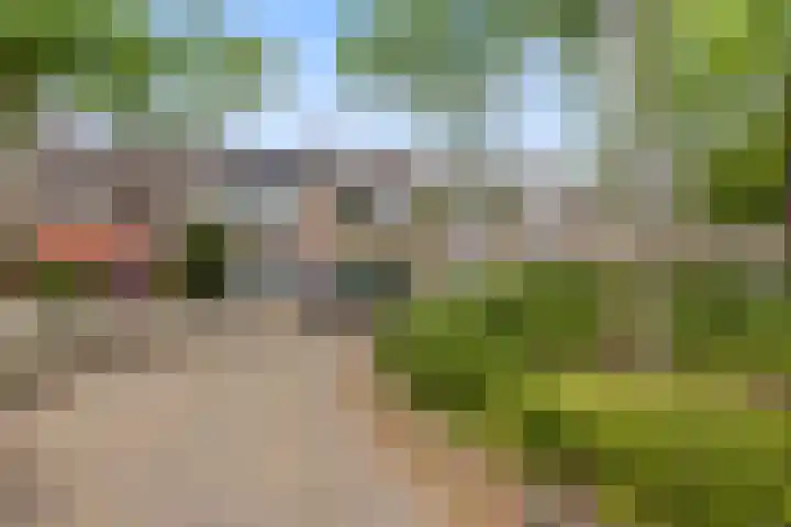 van Norenburchstraat 13 Eindhoven thumbnail 31