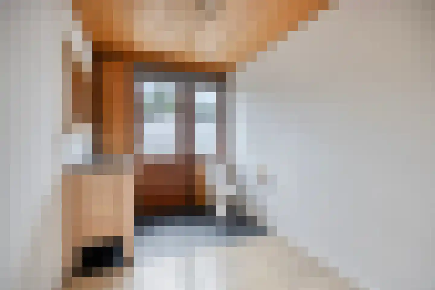 van Norenburchstraat 17 Eindhoven thumbnail 18