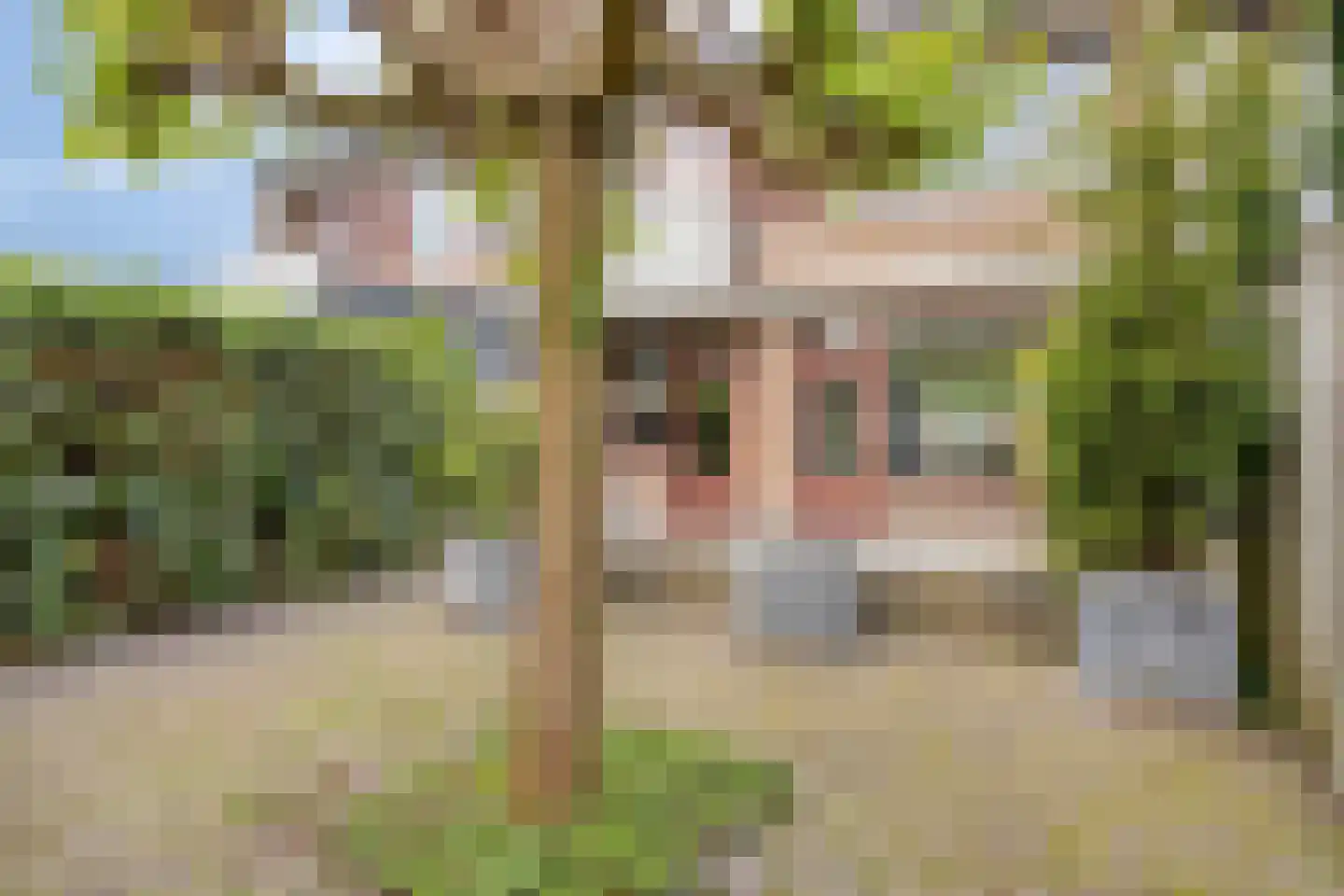 van Norenburchstraat 17 Eindhoven thumbnail 24