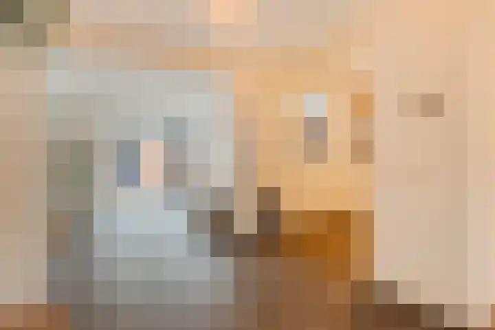 van Norenburchstraat 40 Eindhoven thumbnail 10
