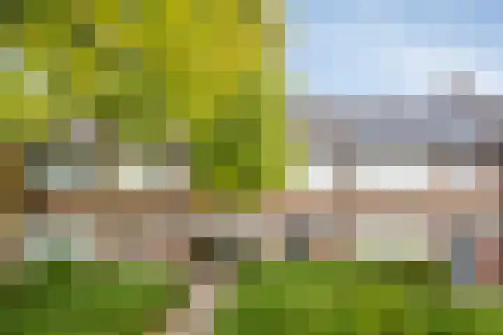 van Norenburchstraat 40 Eindhoven thumbnail 5