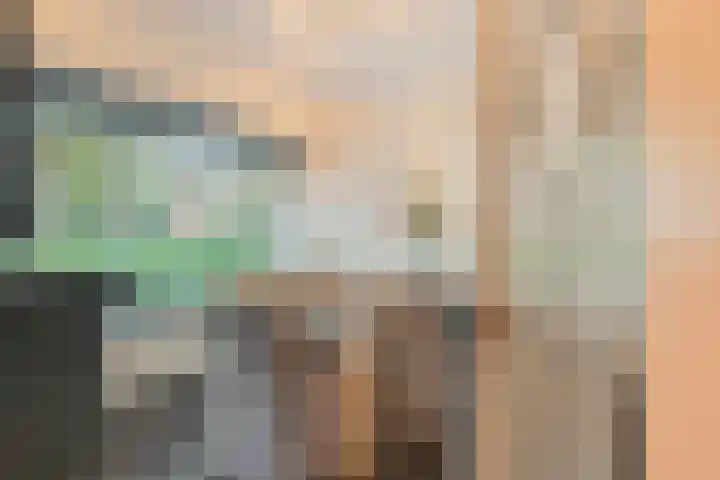 van Norenburchstraat 40 Eindhoven thumbnail 7