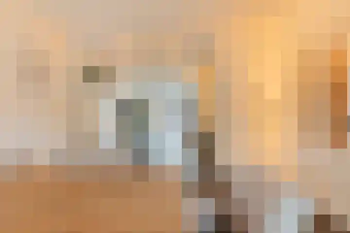 van Norenburchstraat 40 Eindhoven thumbnail 9