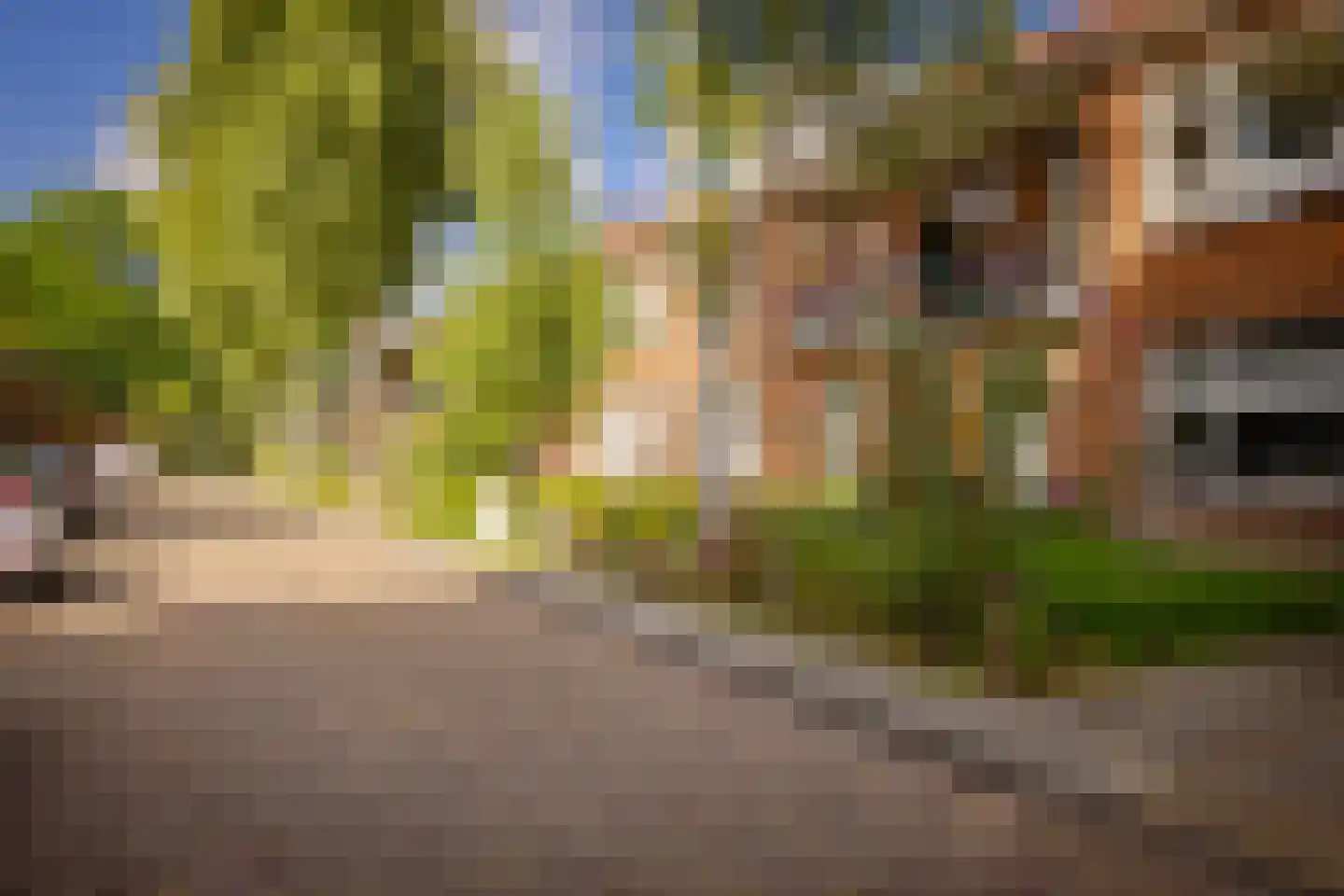 Van Nouhuysstraat 33 A Haarlem thumbnail 33