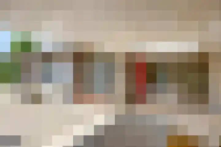 van Odenhovenstraat 2 Boxmeer thumbnail 29