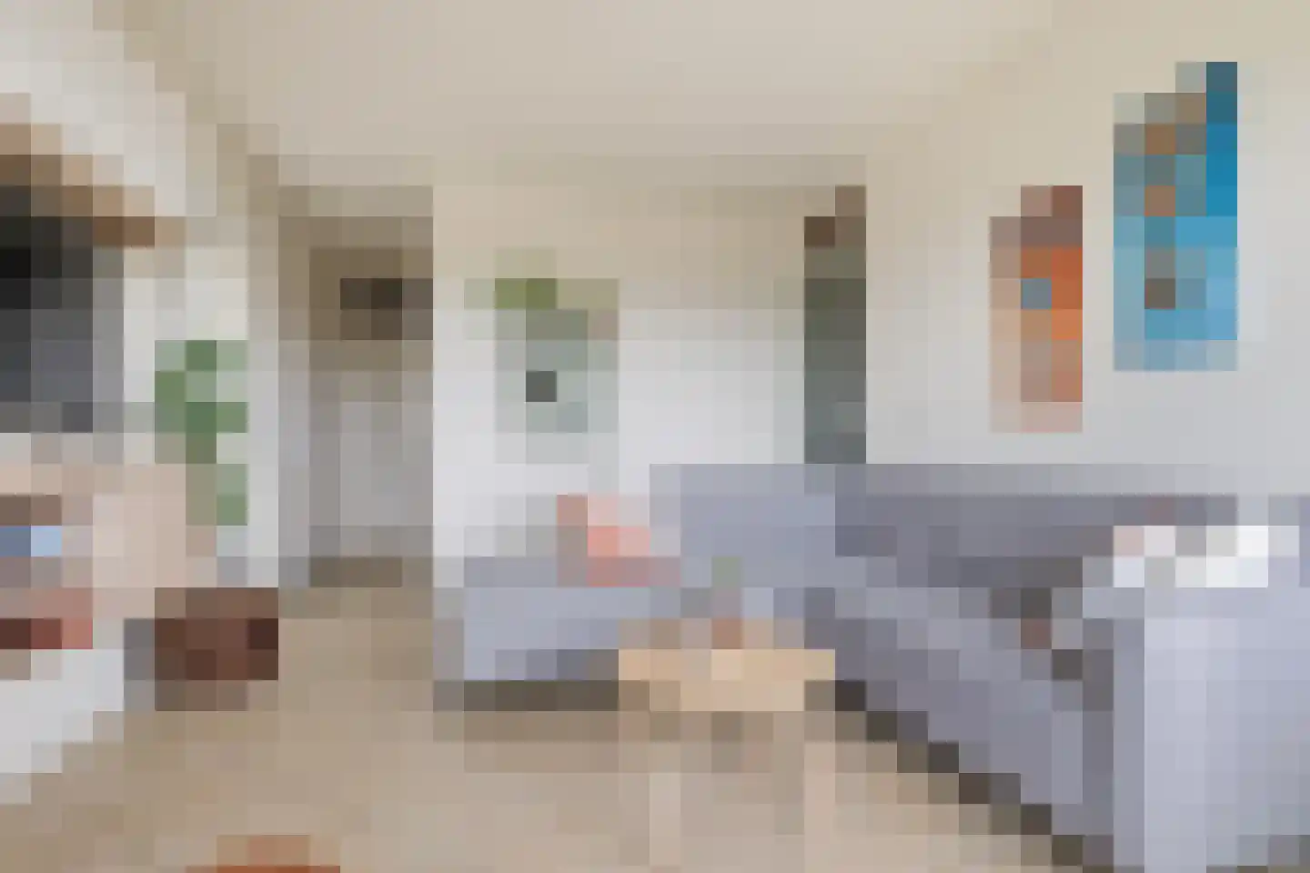 van Ogtropweg 10 12 Wijk aan Zee thumbnail 6