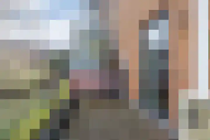 van Ogtropweg 10 8 Wijk aan Zee thumbnail 30