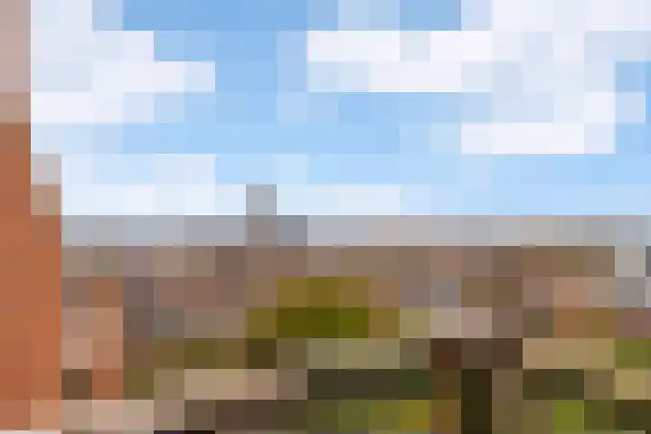 van Ogtropweg 10 8 Wijk aan Zee thumbnail 31