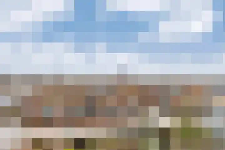 van Ogtropweg 10 8 Wijk aan Zee thumbnail 36