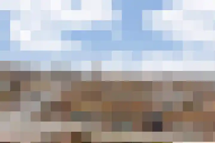 van Ogtropweg 10 8 Wijk aan Zee thumbnail 37