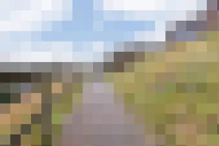van Ogtropweg 10 8 Wijk aan Zee thumbnail 43