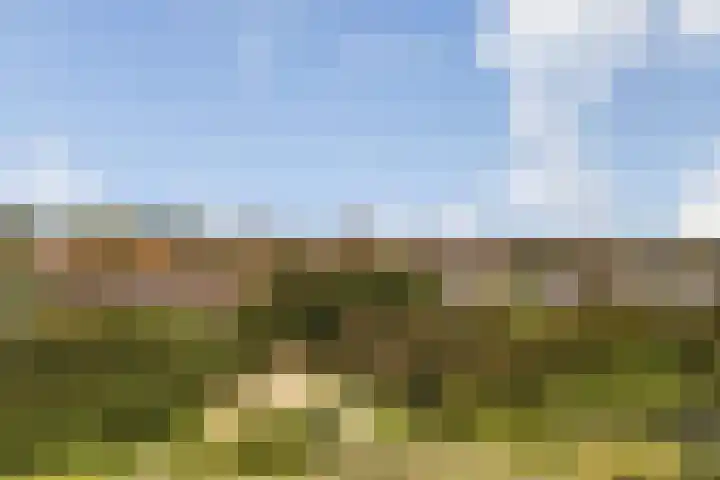 van Ogtropweg 10 8 Wijk aan Zee thumbnail 60