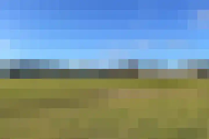 van Ogtropweg 10 8 Wijk aan Zee thumbnail 62