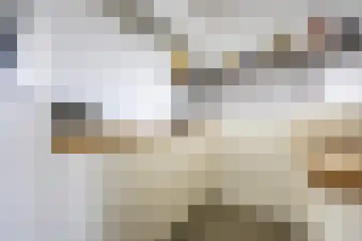 van Ogtropweg 30 Wijk aan Zee thumbnail 12