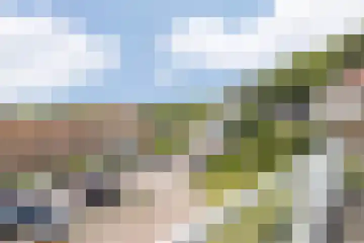 van Ogtropweg 30 Wijk aan Zee thumbnail 24