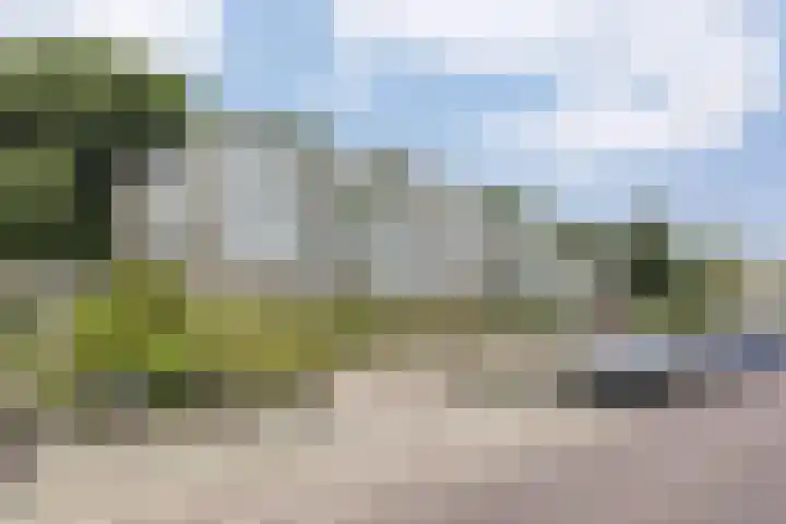 van Ogtropweg 30 Wijk aan Zee thumbnail 31