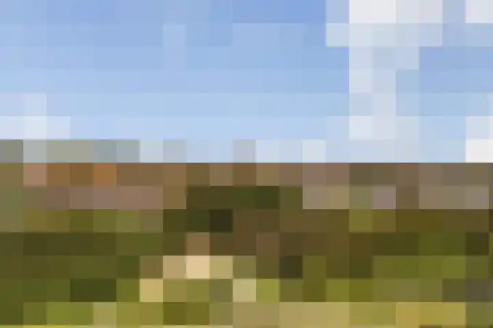 van Ogtropweg 30 Wijk aan Zee thumbnail 34