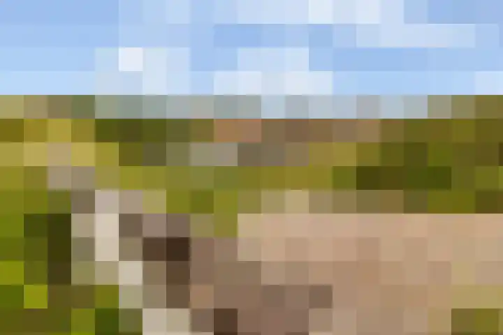van Ogtropweg 30 Wijk aan Zee thumbnail 35