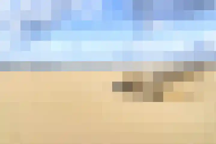van Ogtropweg 30 Wijk aan Zee thumbnail 39