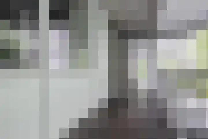 van Ogtropweg 30 Wijk aan Zee thumbnail 4