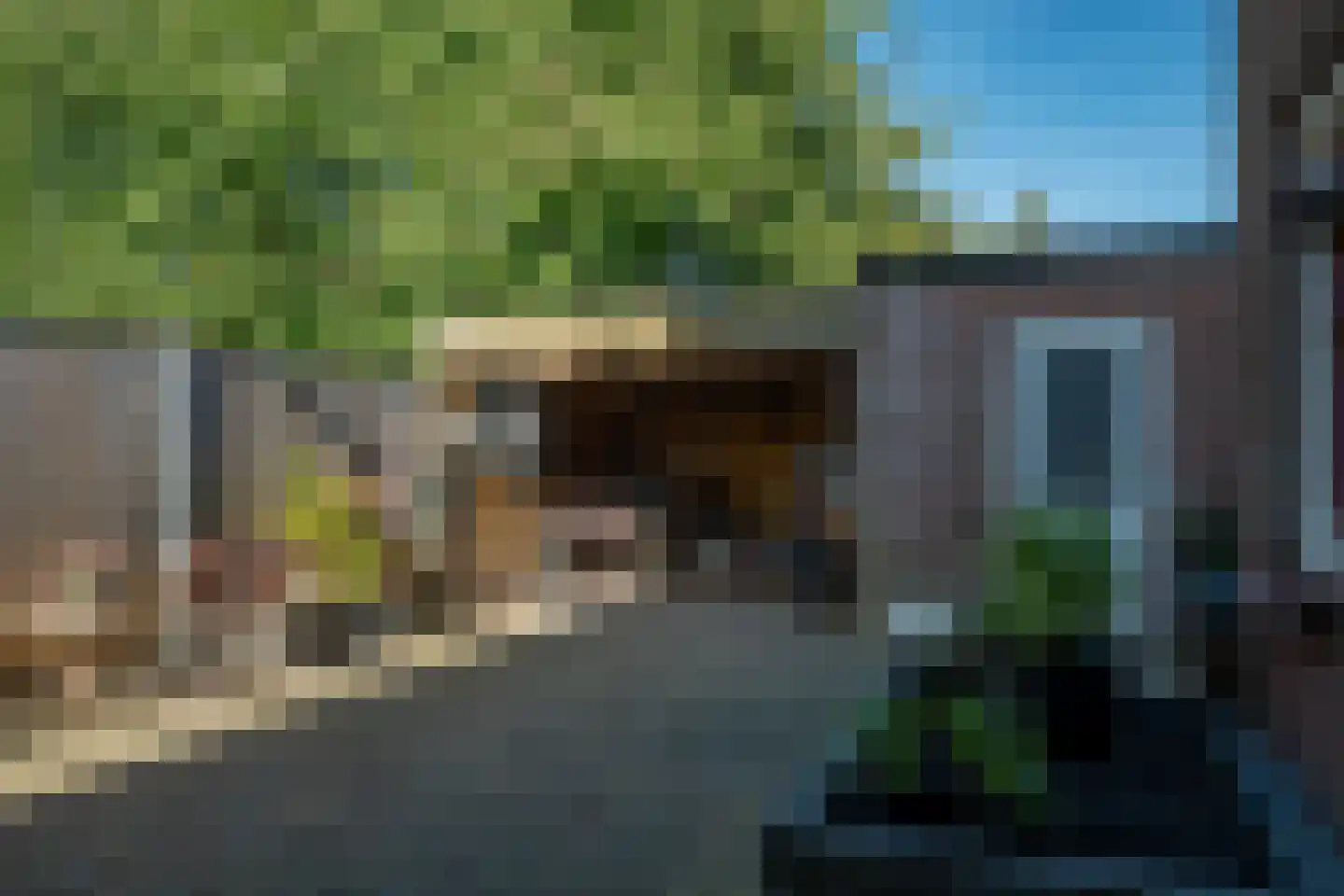 van Oldebarneveldweg 18 Oosterwolde Gld thumbnail 37