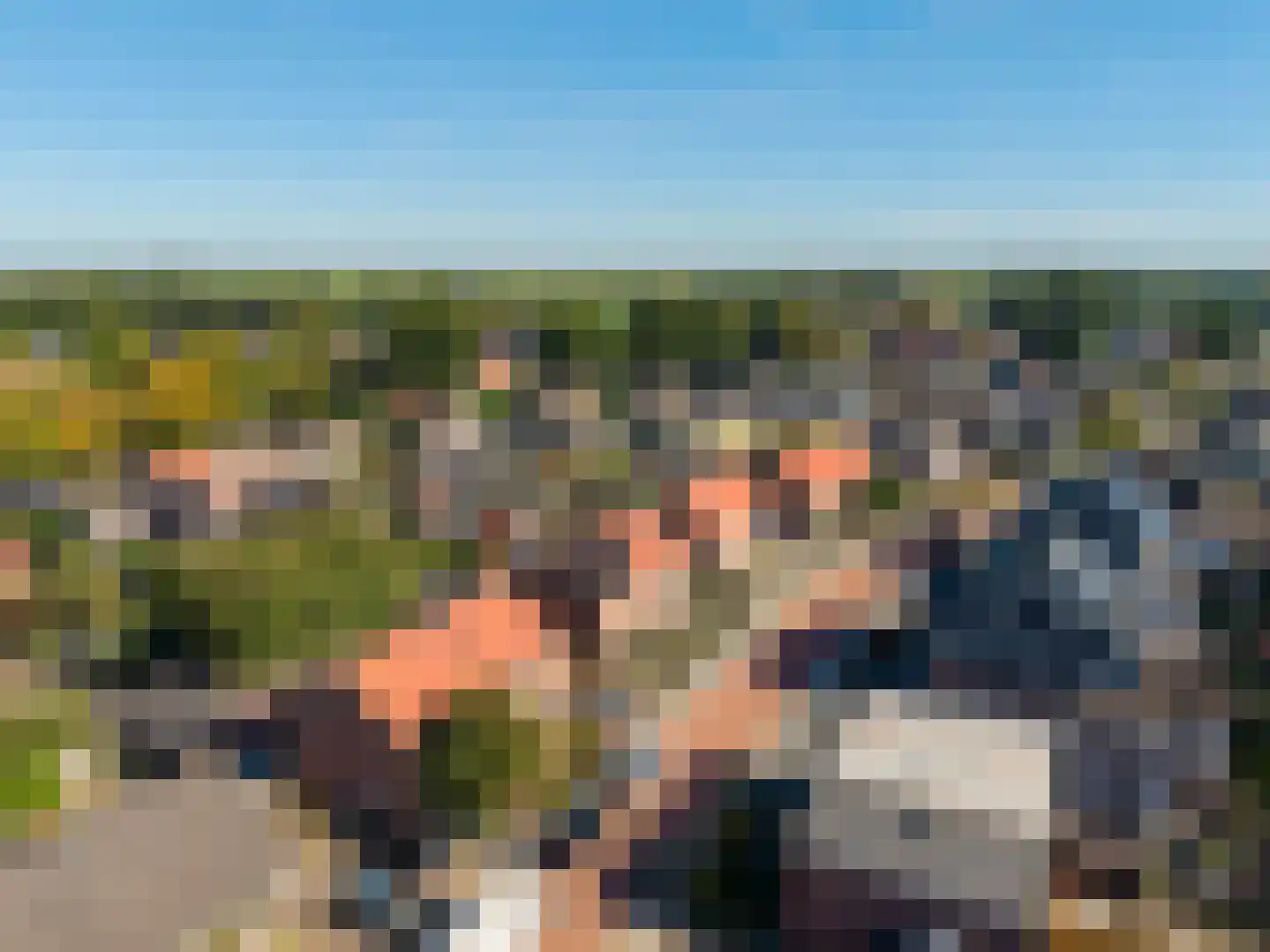 van Oldebarneveldweg 18 Oosterwolde Gld thumbnail 40