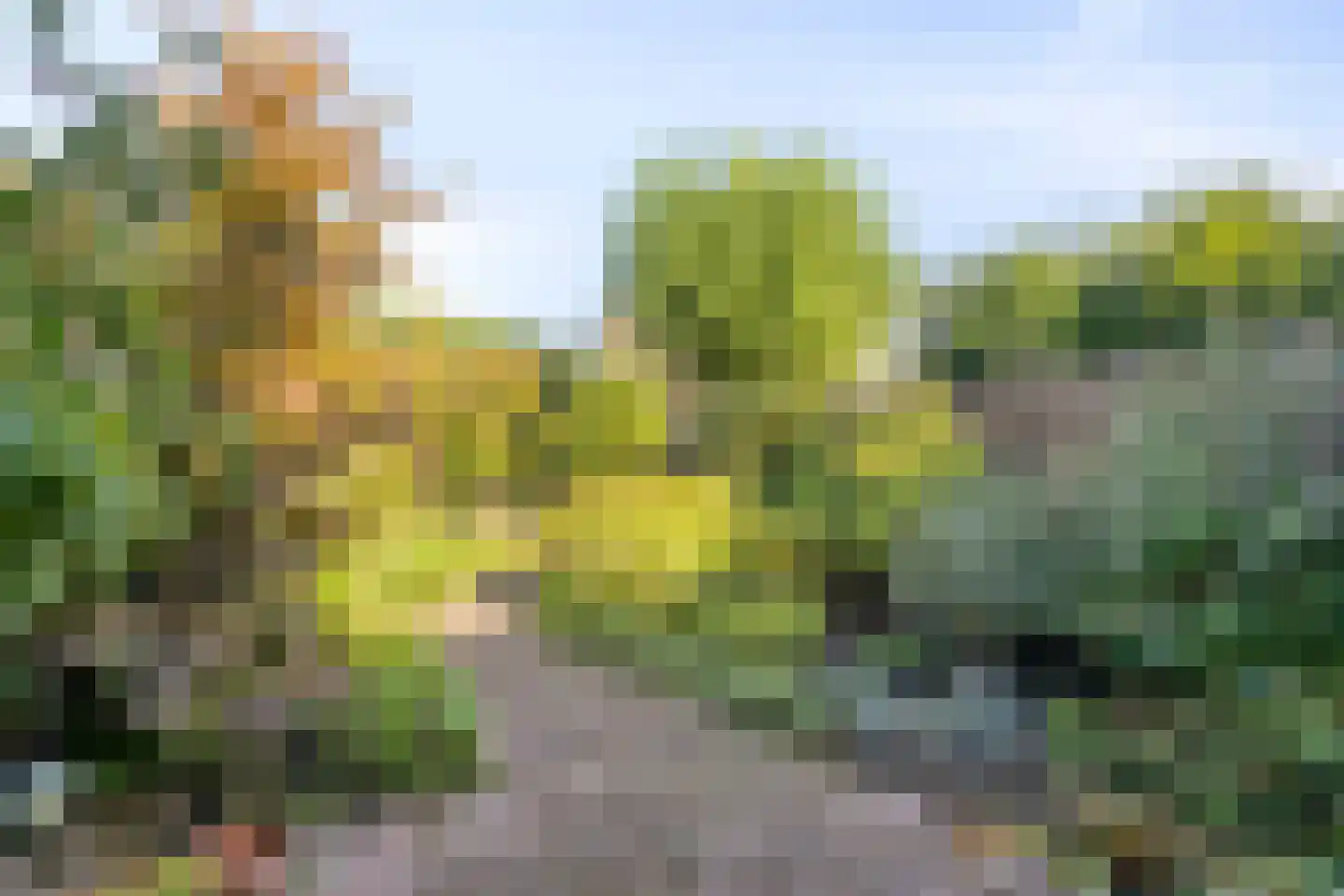 Van Oldenbarneveldtlaan 18 Zevenaar thumbnail 31