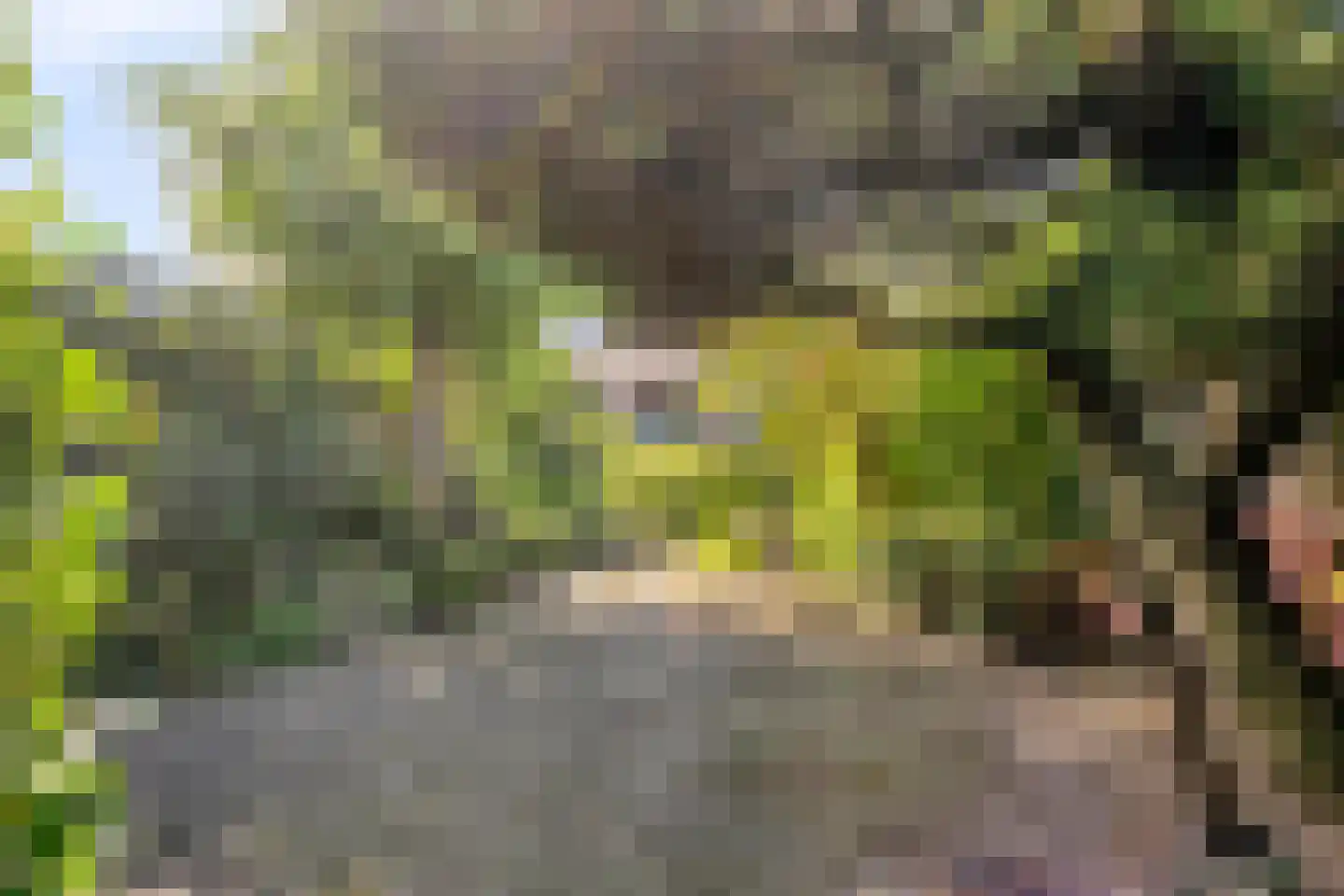 Van Oldenbarneveldtlaan 18 Zevenaar thumbnail 33