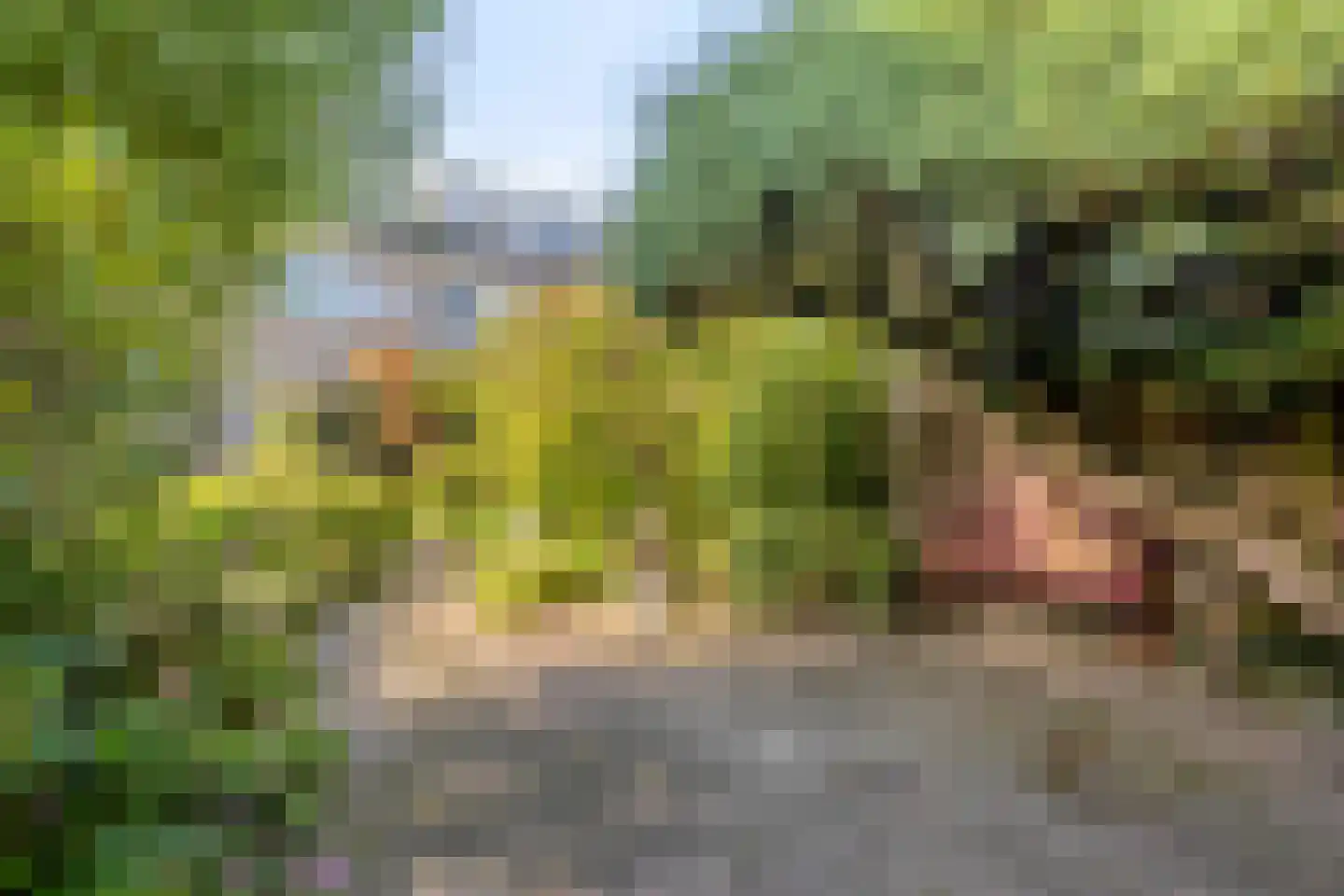 Van Oldenbarneveldtlaan 18 Zevenaar thumbnail 34