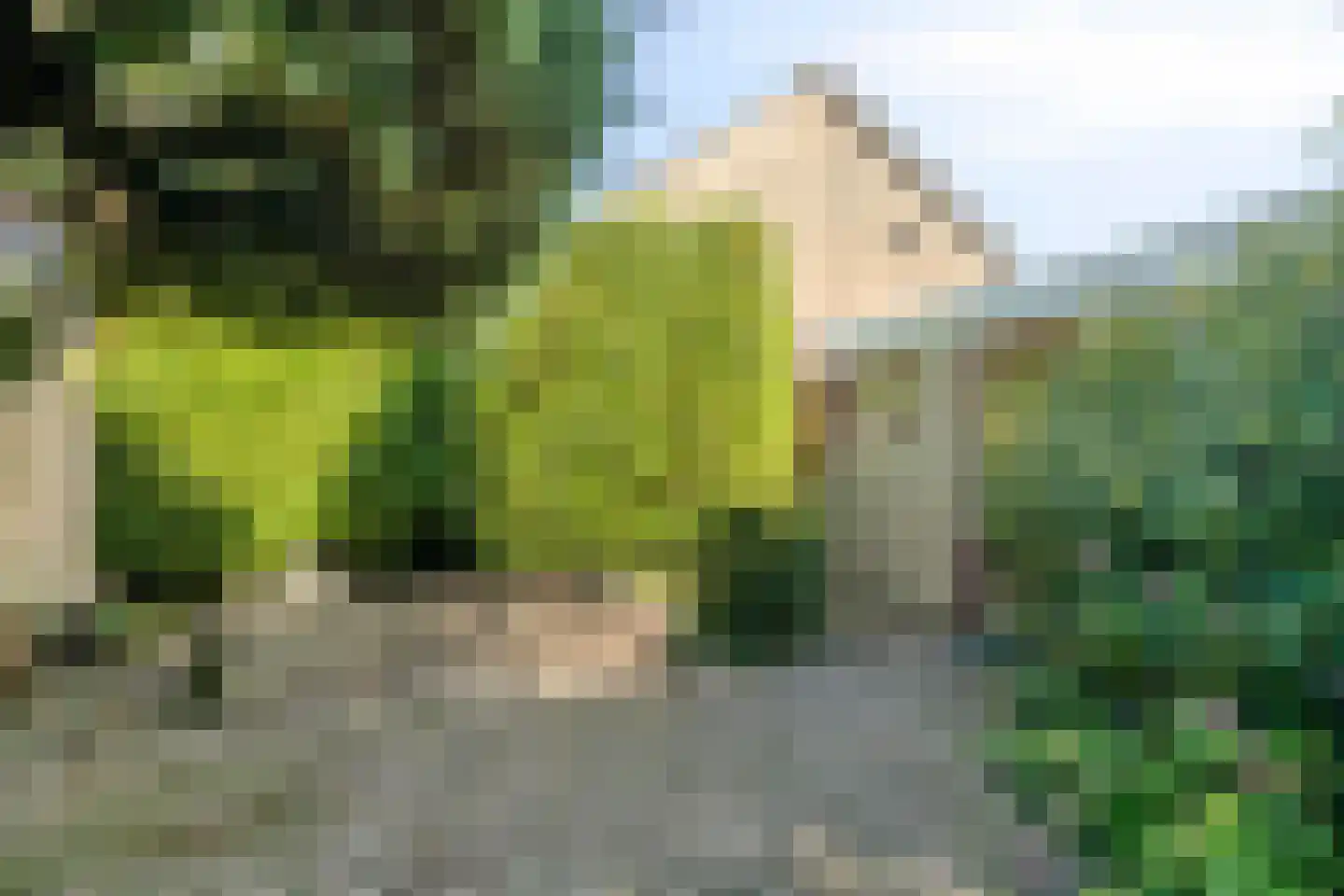 Van Oldenbarneveldtlaan 18 Zevenaar thumbnail 35