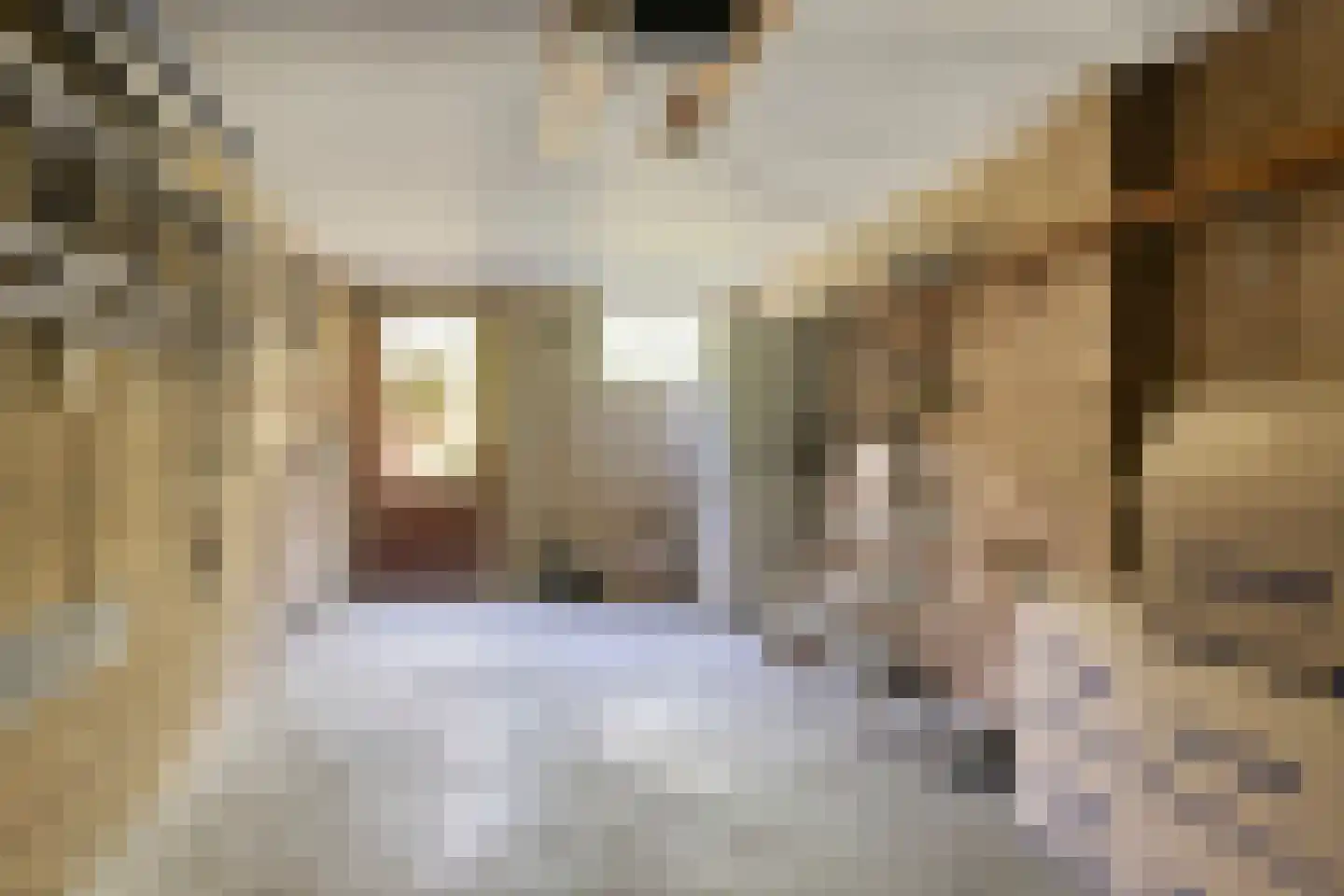 Van Oldenbarneveldtlaan 18 Zevenaar thumbnail 36