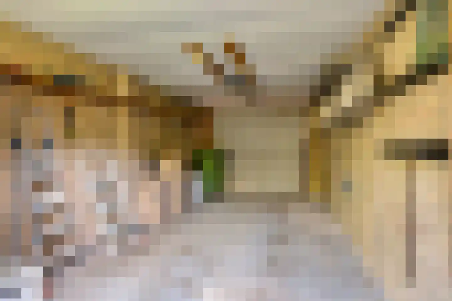 Van Oldenbarneveldtlaan 18 Zevenaar thumbnail 37