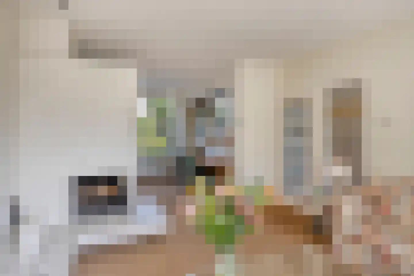 Van Oldenbarneveldtlaan 18 Zevenaar thumbnail 4