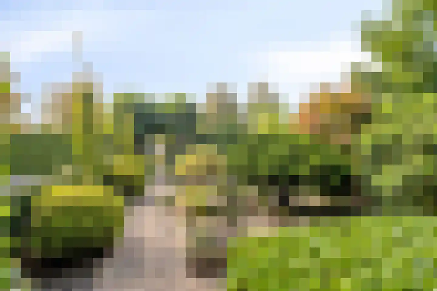 Van Oldenbarneveldtlaan 18 Zevenaar thumbnail 6