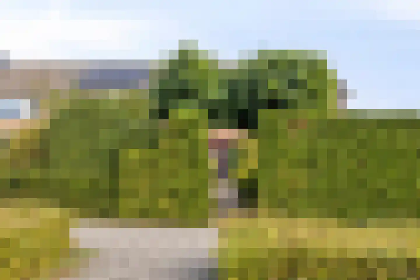 Van Oldenbarneveldtlaan 18 Zevenaar thumbnail 7